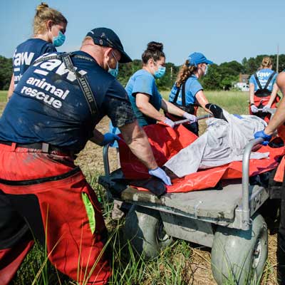 Non-Profit appointment scheduling software