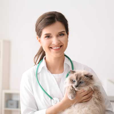 Veterinary appointment scheduling software